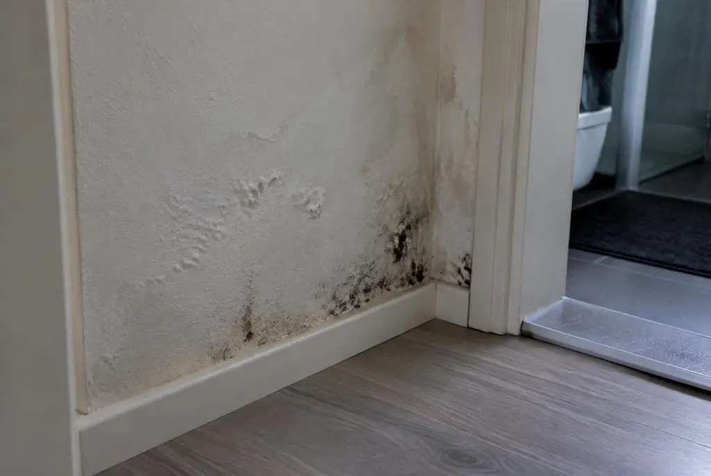 Lekdetectie Epe – vochtplek met schimmel op een muur